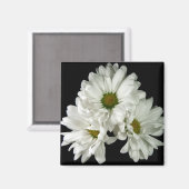 Triple Delight Magnet (Vorderseite/Rückseite)