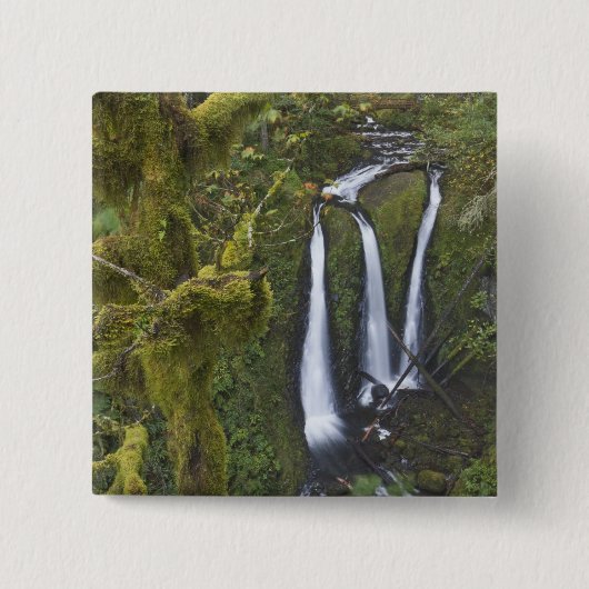 Triple Falls, Columbia River Gorge Button (Vorderseite)