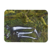 Triple Falls, Columbia River Gorge Magnet (Horizontal)