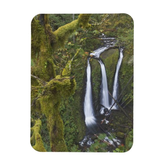 Triple Falls, Columbia River Gorge Magnet (Vertikal)