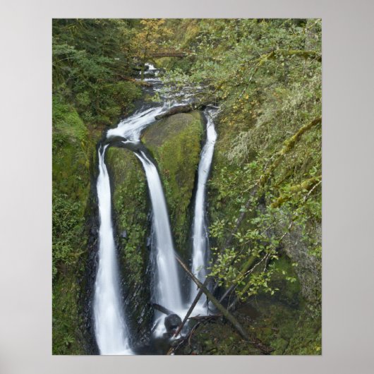 Triple Falls, Columbia River Gorge Poster (Vorne)
