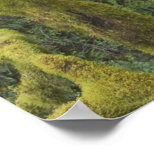 Triple Falls, Columbia River Gorge Poster (Ecke)