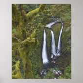 Triple Falls, Columbia River Gorge Poster (Vorne)