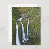 Triple Falls, Columbia River Gorge Postkarte (Vorne/Hinten)