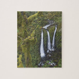 Triple Falls, Columbia River Gorge Puzzle