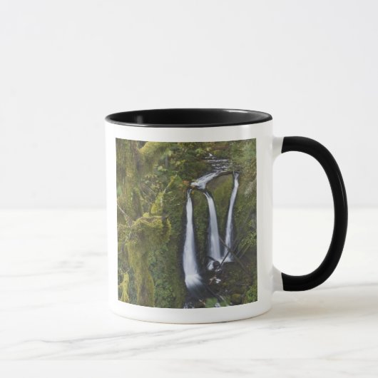 Triple Falls, Columbia River Gorge Tasse (Rechts)