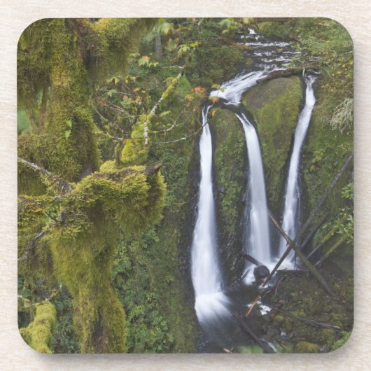 Triple Falls, Columbia River Gorge Untersetzer (Vorderseite)