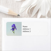 Triple Lila Iris (Insitu)