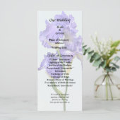 Triple Lila Iris Programm (Stehend Vorderseite)