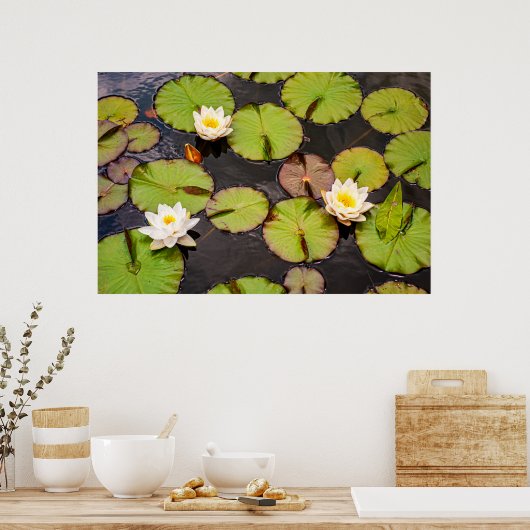 Triple Lotus & Lily Pad Pattern Poster (Küche)