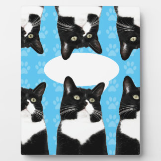 Triple Niedlich Kitty Make Statement Fun Foto Fotoplatte