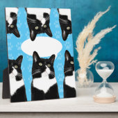 Triple Niedlich Kitty Make Statement Fun Foto Fotoplatte (Seite)