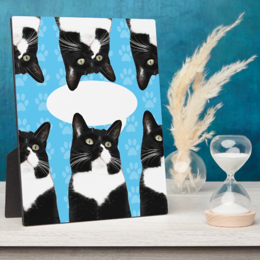 Triple Niedlich Kitty Make Statement Fun Foto Fotoplatte (Seite)