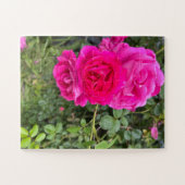 Triple Pink Roses Puzzle (Horizontal)