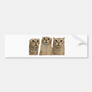 Triple Sabberndes Albernes Katzen Meme Autoaufkleber
