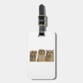 Triple Sabberndes Albernes Katzen Meme Gepäckanhänger (Vorderseite vertikal)