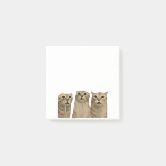 Triple Sabberndes Albernes Katzen Meme Post-it Klebezettel (Vorderseite)