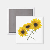 Triple Sunflower Magnet (Vorderseite/Rückseite)