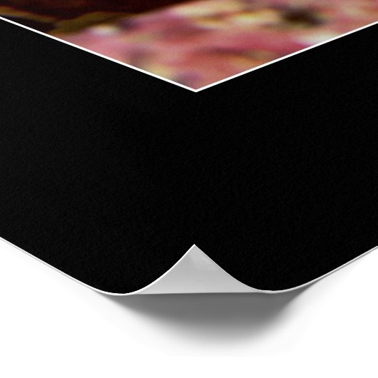 Triplefin Blenny Poster (Ecke)