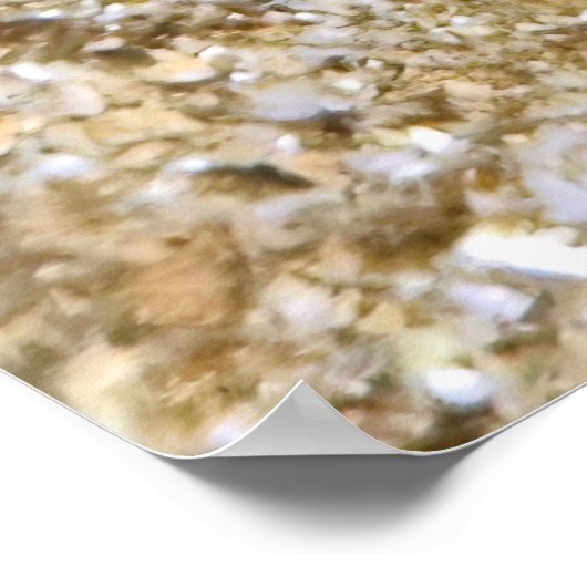 Triplefin Poster (Ecke)