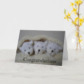 Triplet beglückwünscht karte (Gelbe Blume)