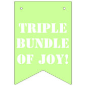 Triplets Baby Girl Boy's Fotos Wimpelkette (Erste Fahne)