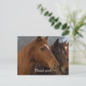 Triplets für Pferde Danke, Postcard Postkarte (Stehend Vorderseite)