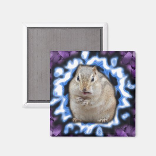 Tripmunk Magnet (Vorderseite/Rückseite)