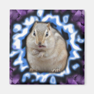 Tripmunk Magnet