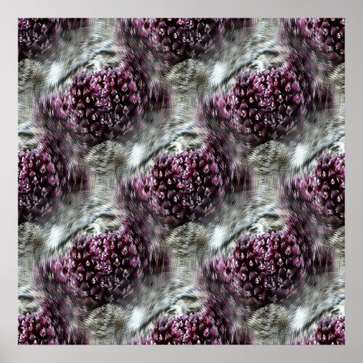 Trippin' Tidepools.... Poster (Vorne)