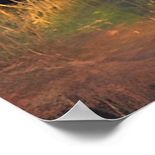 Tripping Balls Art - Fairy Lands Poster (Ecke)