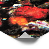 Trippy Leopard Moray Poster (Ecke)