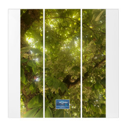 Triptych Wh.(Sun Green Tree 1)RFPMDesign ©️ 2021/2 Triptychon