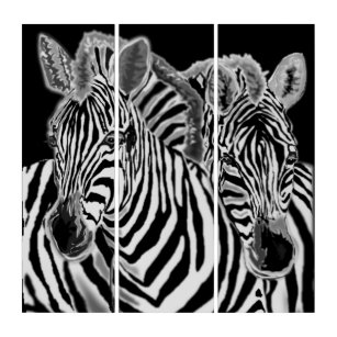 Triptychon mit Zebras-Paar - Schwarz-weiße Kunst