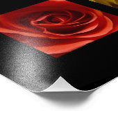 Triptychon Rose orange gelb pink Panoramaaussicht Fotodruck (Ecke)