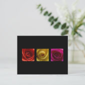 Triptychon-Rose orange-gelb Postkarte (Stehend Vorderseite)