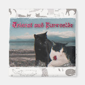 Triscat- und Purrsoldmagnet Magnet (Vorne)