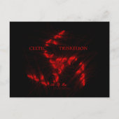 ☼ TRISKELION - KELTISCHE ☼ POSTKARTE (Vorderseite)