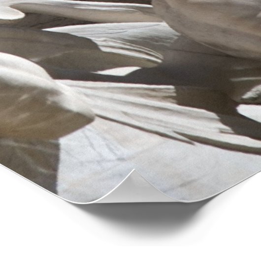 Triton in Trevi Poster (Ecke)