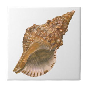 Triton-Meeresschnecke, Vintage Meereswelt Tier Fliese