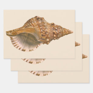 Triton-Meeresschnecke, Vintage Meereswelt Tier Geschenkpapier Set