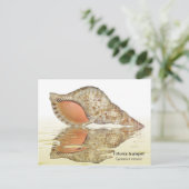Triton seashell Postkarte (Stehend Vorderseite)