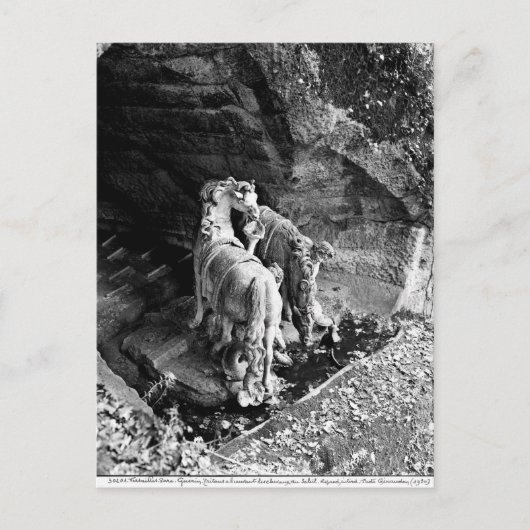 Tritonen, die die Pferde der Sonne bewässern Postkarte (Vorderseite)