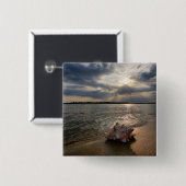 Tritonshorn-Muschel an Strand | St Augustine, Button (Vorne & Hinten)