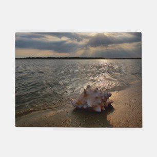 Tritonshorn-Muschel an Strand St Augustine, Fußmatte