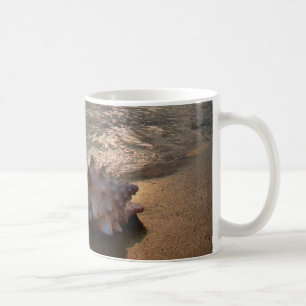 Tritonshorn-Muschel an Strand   St Augustine, Kaffeetasse