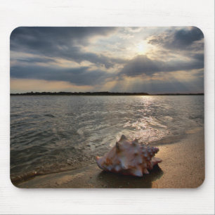 Tritonshorn-Muschel an Strand   St Augustine, Mousepad