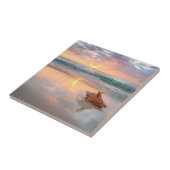 Tritonshorn-Muschel auf dem Strand | Jamaika Fliese (Seite)