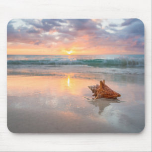 Tritonshorn-Muschel auf dem Strand   Jamaika Mousepad
