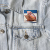 Tritonshorn-Muschel auf Strand 2 Button (Beispiel)